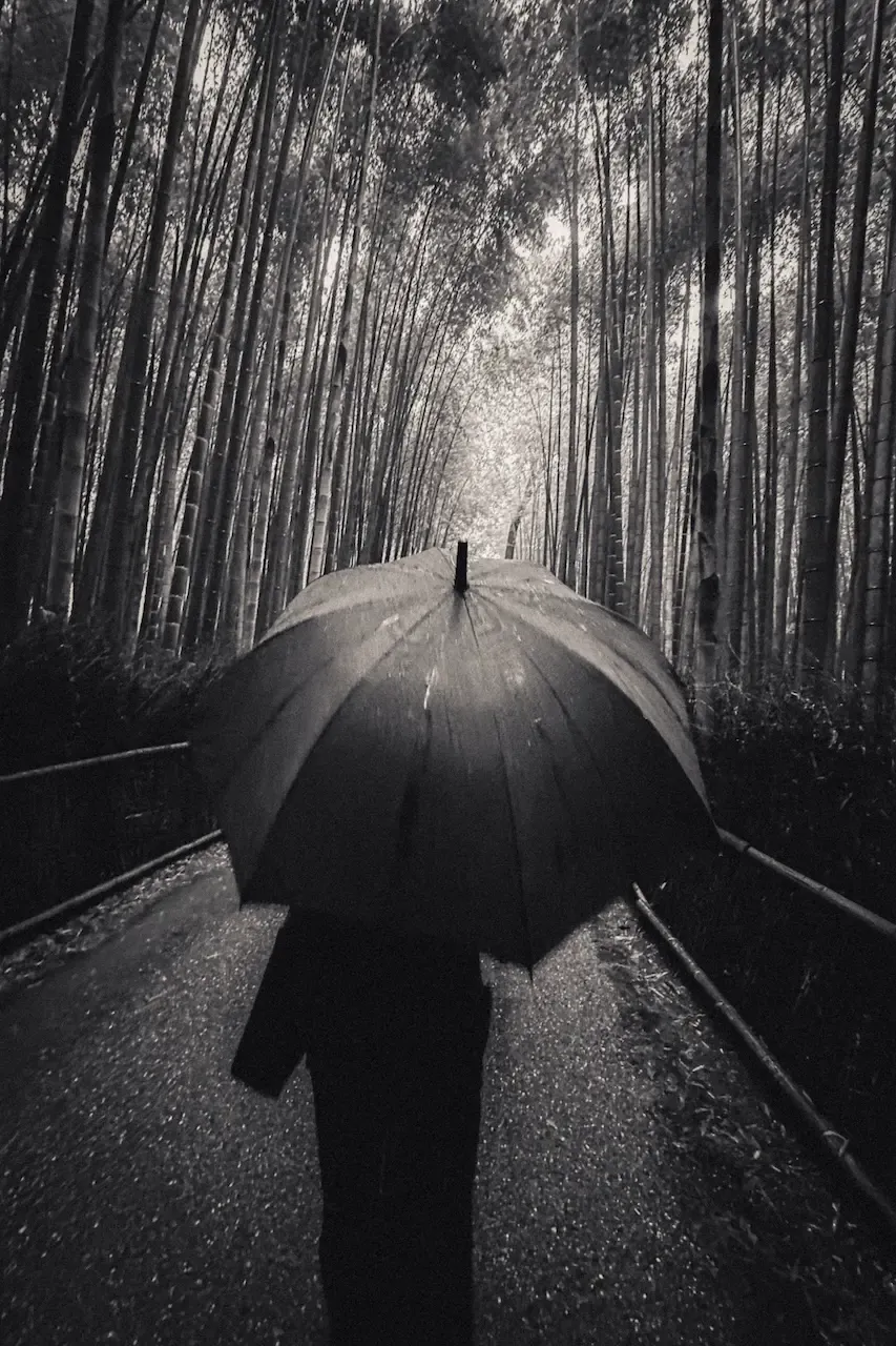 Grainy Umbrella