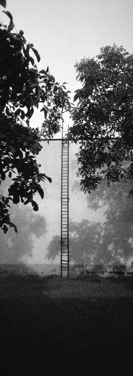 Ladder