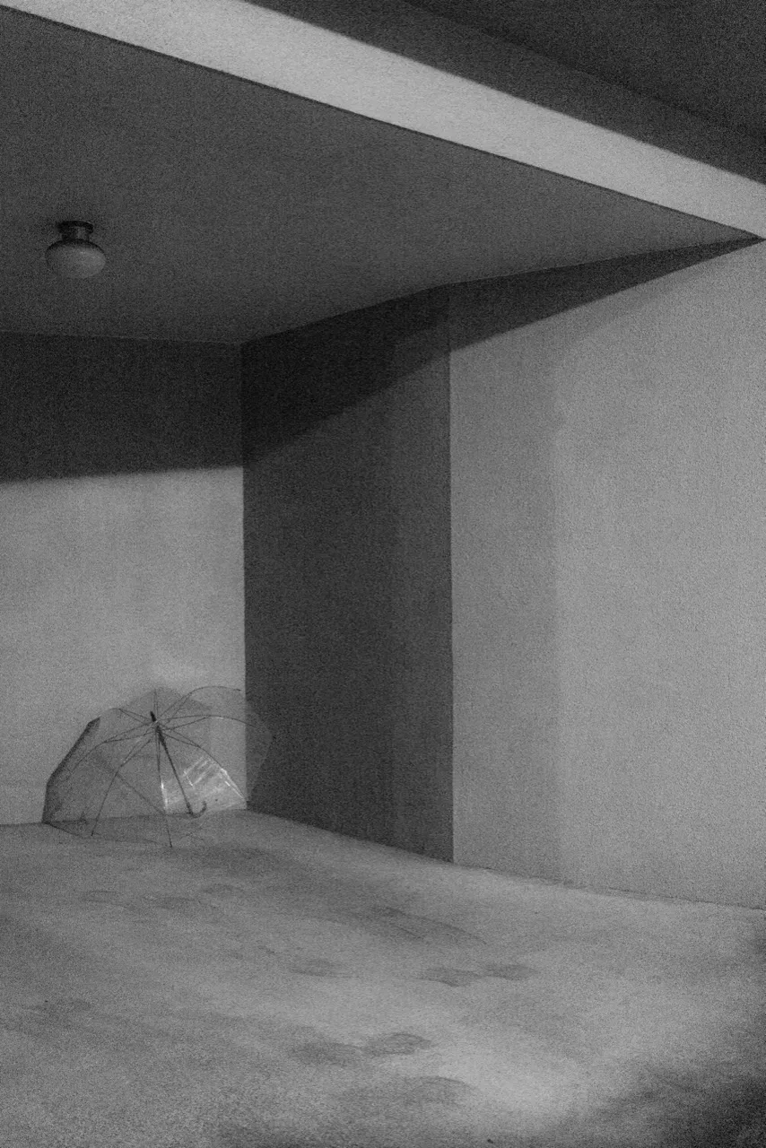 Transparent Umbrella